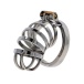 Hidden Desire - Metal Chastity Cage  photo