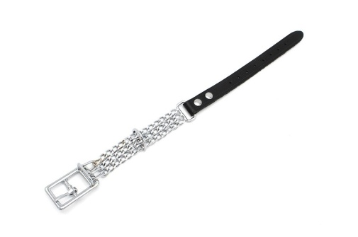 Kiotos - Chain Collar w Band photo
