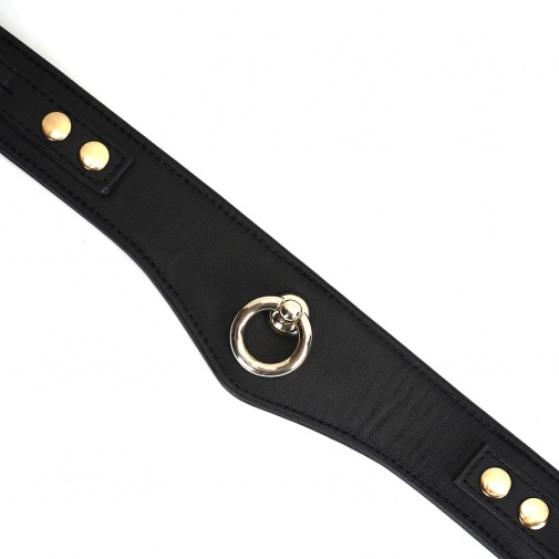 Liebe Seele - Leather Curved Collar - Dark Secret photo