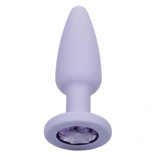 CEN - First Time Crystal Booty Kit - Purple photo