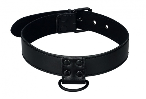 Lovetoy - Bondage Fetish Collar w Leash - Black photo
