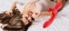 Honey Play Box - Fortexa App Flapping Dual Vibrator - Red  photo-4