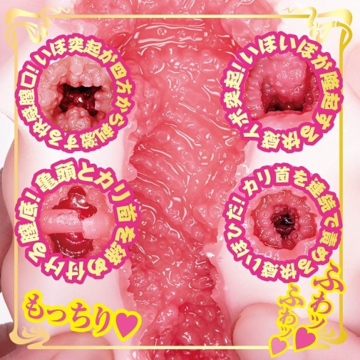 NPG - 深田咏美 AV女优迷你自慰器 照片