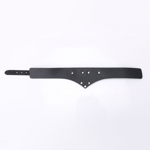 MT - Collar 6 photo