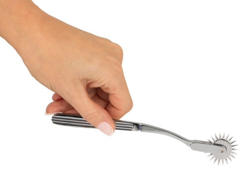 FC - Single Pinwheel - Silver 照片