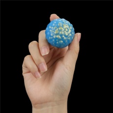 Lovetoy - Ocean's Toner Kegel 蛋形收阴球套装 - 蓝色 照片