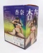 Anime Star - 杏奈 性感人物模型 照片-13