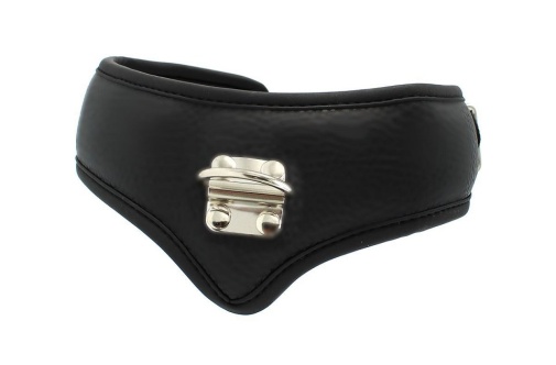 Kiotos - Basic Collar w Leash - Black photo
