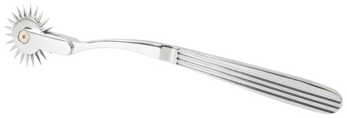 FC - Single Pinwheel - Silver 照片