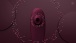 Womanizer - Classic 2 - Bordeaux photo-14