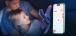 Honey Play Box - Pleasure Pivot App Couples Vibrator - Black photo-4