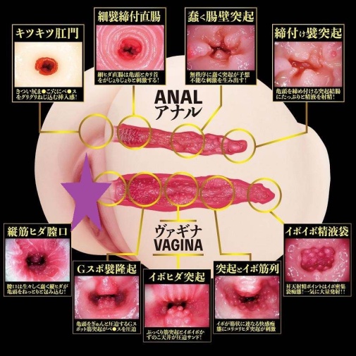 NPG - Eimi Fukada 2 Hole Masturbator 3.1kg photo