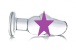 Prisms Erotic Glass - Asvini Penis Anal Plug - Clear photo-2