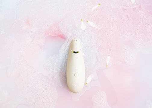 Womanizer - Premium 2 - Gray photo