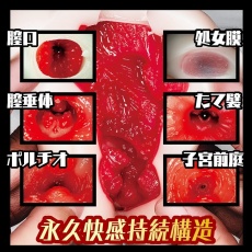 NPG - 课后协助女同学破处 自慰器 照片
