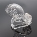 FAAK - Long Bird Chastity Cage - Clear photo