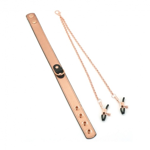 Liebe Seele - Rose Gold Collar w Nipple Clamps photo