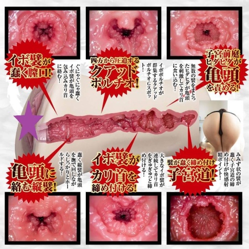 NPG - Tsubasa Hachino 極上名器自慰器 照片