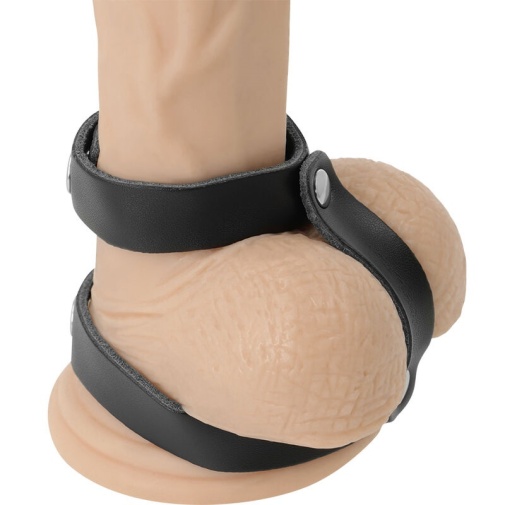 Darkness - Cock Harness - Black photo