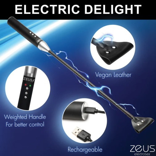 Zeus Electrosex - 電刺激馬鞭 - 黑色 照片