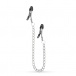 Easytoys - Nipple Clamps w Chain - Silver photo