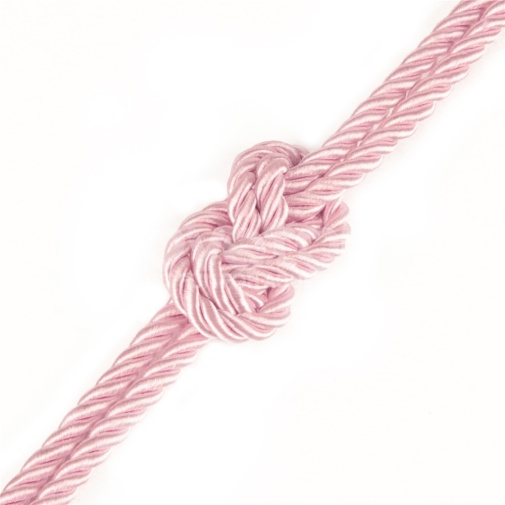 Lovetoy 叛逆的操控師 絲質光滑束縛繩 10米 - 粉紅色 照片