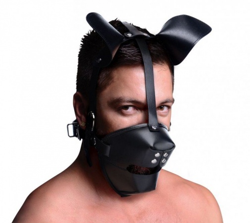 Master Series - Pup Puppy Play Hood Breathable Ball Gag - Black photo