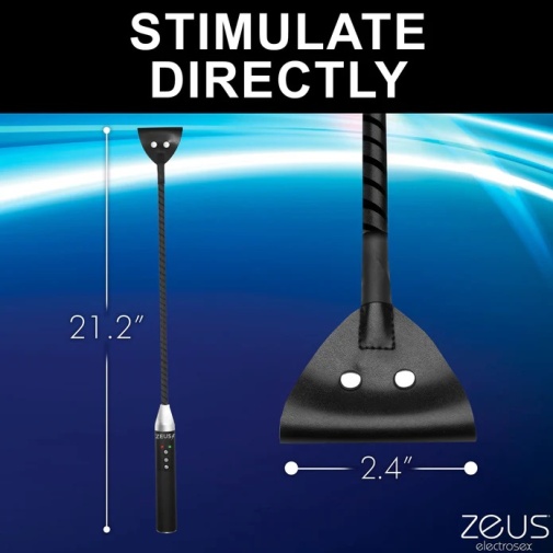 Zeus Electrosex - 電刺激馬鞭 - 黑色 照片