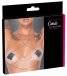 Cottelli - Glitter Nipple Stickers w Chain - Black 照片-6