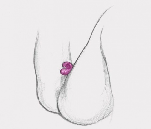 Gvibe - Gring XL - Raspberry photo