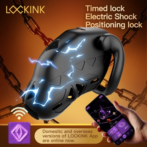 Lockink - Zhiji APP Chastity Cage photo