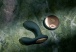 Lelo - Hugo 2 Remote Massager - Green photo-2