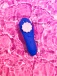 Romp - Party Vibrator - Purple photo-12