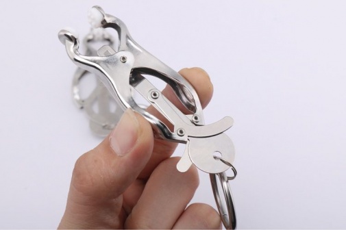 MT - Nipple Clamps photo