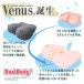 SSI -  極生乳 Venus 仿真乳房 2.6kg 照片-5