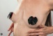 Lola Games - Pasties Burlesque Blaze - Black/Red photo-2