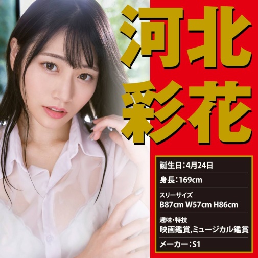 EXE - Japanese Real Hole 激 河北彩花自慰器 照片