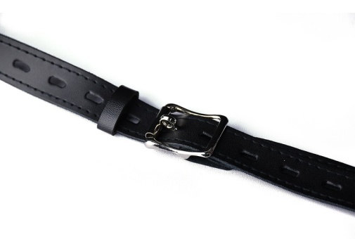FAAK - Chastity Cage 183 w Belt - Silver photo