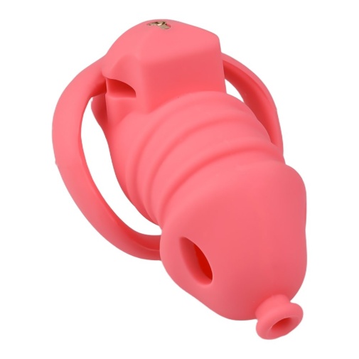 FAAK - Long Resin Chastity Cage - Red 照片