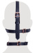 Bad Kitty - Head Harness w Gag - Black 照片-10