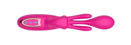 Secwell - Tonvos Swing Rabbit Vibrator - Pink 照片