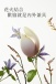 	 Floon - 1+1 快感震动套装 - 桃红色 照片-11