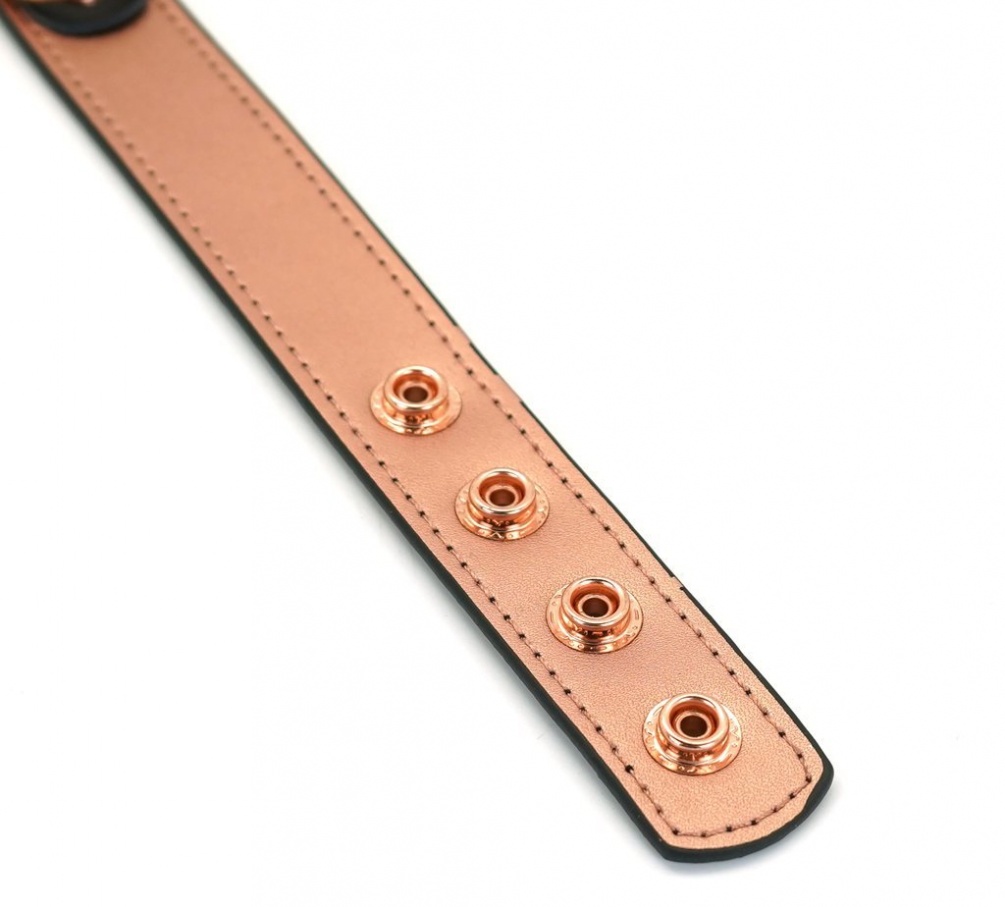 Luxurious Leather Collar With Soft Lining To Ensure Your Com... Liebe Seele - Rose Gold Collar w Nipple Clamps photo-7