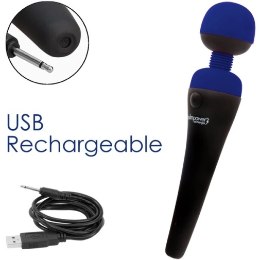 Palmpower - Recharge Massager – Blue photo