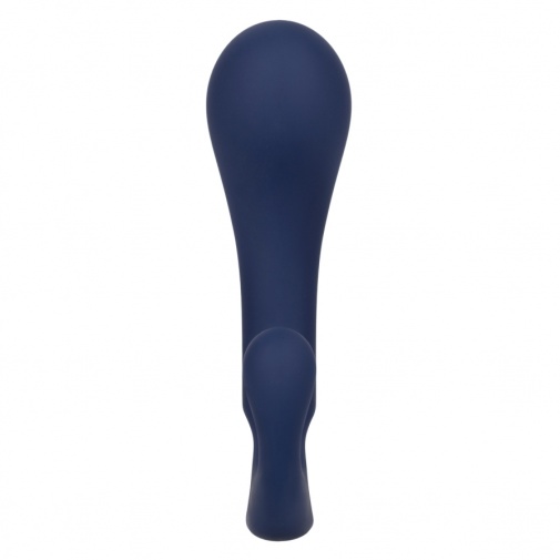 CEN - Viceroy Direct Probe - Blue photo
