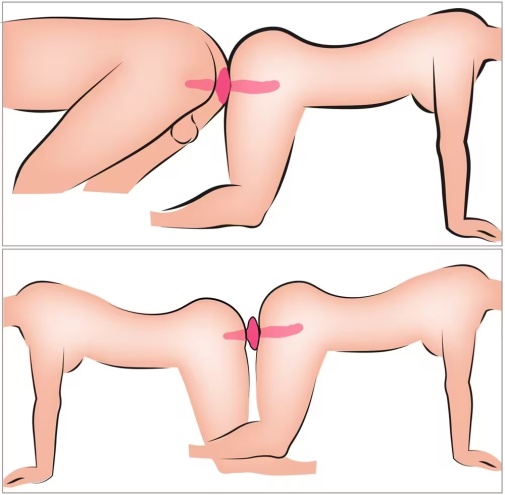 Couple Choise - 2in1 Vibrator w Butt Plug - Pink photo