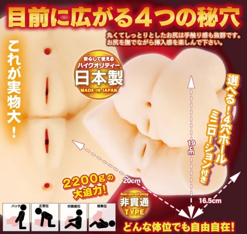 A-One - 抖S母女催眠下的三人性交體驗 四穴飛機杯 照片