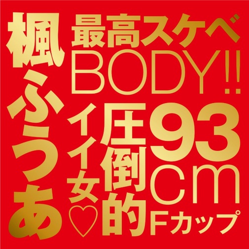 EXE - Japanese Real Hole 激 楓富愛 自慰器 照片
