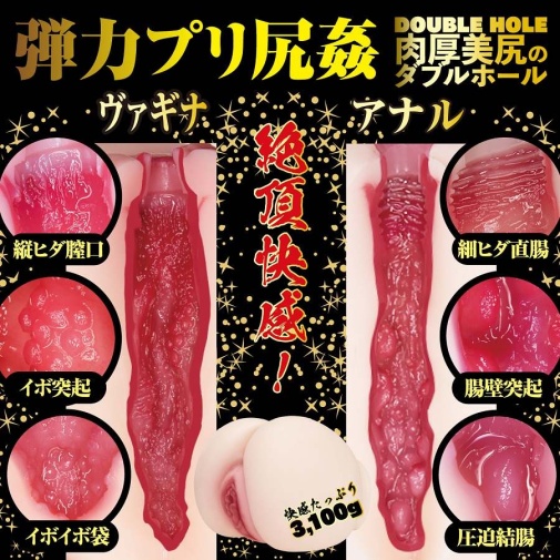 NPG - Eimi Fukada 2 Hole Masturbator 3.1kg photo