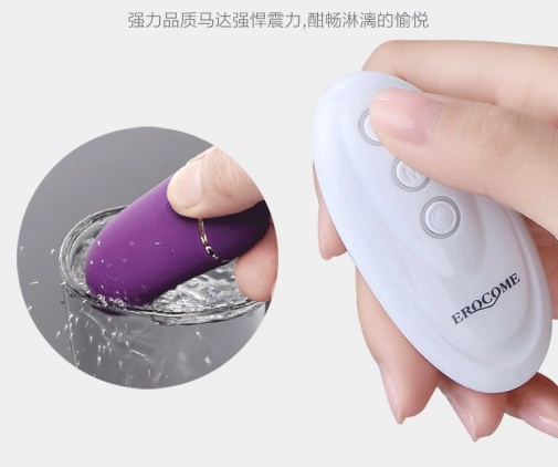 Erocome - UrsaMajor - Heating Egg - Purple photo